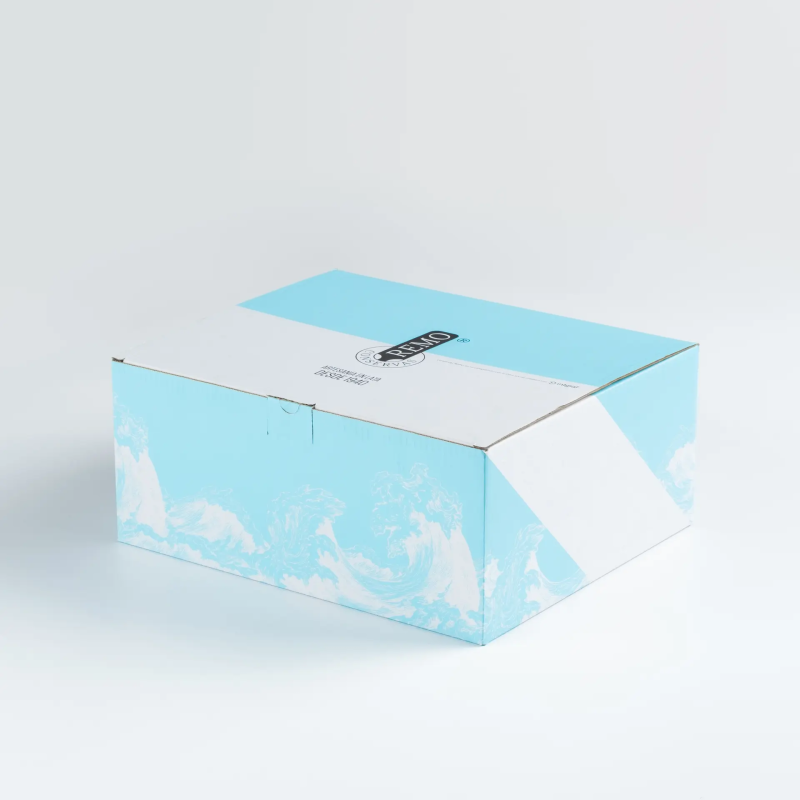 Blue Box Conservas Remo - Seleção Gourmet do Mar